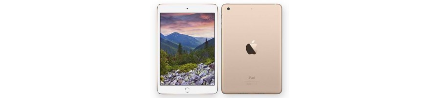 iPad Mini 3