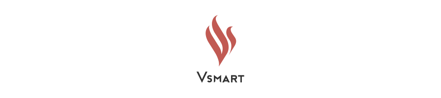 Comprar Repuestos de Móviles VSmart BQ VSmart BQ Online
