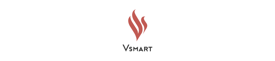 VSmart BQ