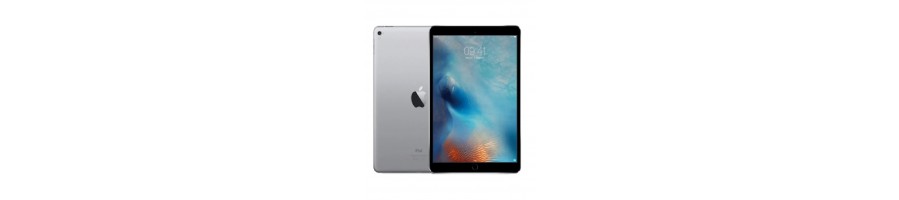 Ipad Pro 12.9 3ª Generacion